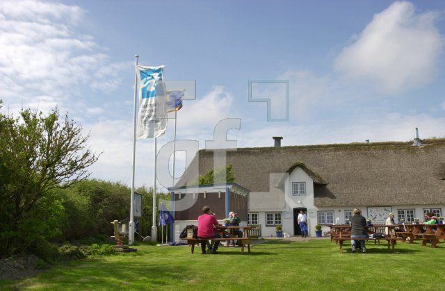DG15_HamHallig01_0324.jpg