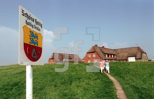 DJ20_Groede01_0136.jpg