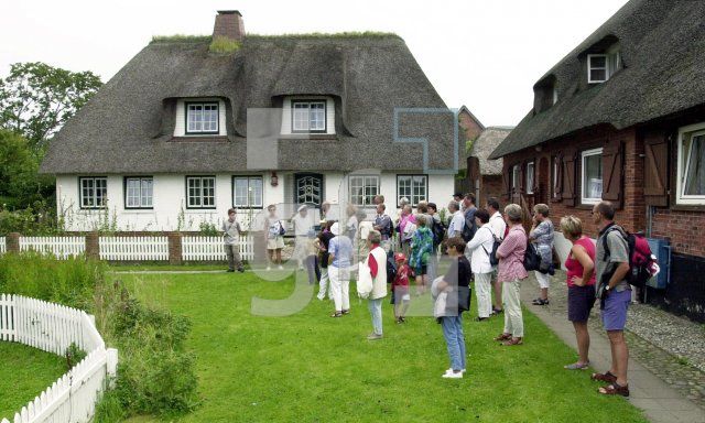 DJ22_HalligOland44_0144.jpg