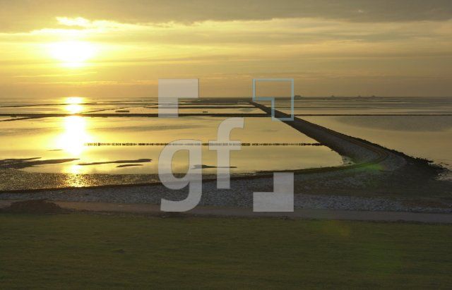DM11_Wattenmeer_0399.jpg
