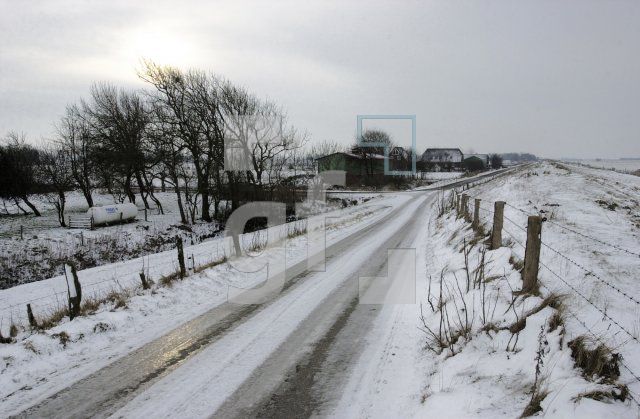 EA99_NorderfriedrichskoogWinter_0347.JPG