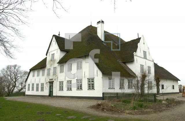 EF01_RoterHaubarg_0355.JPG