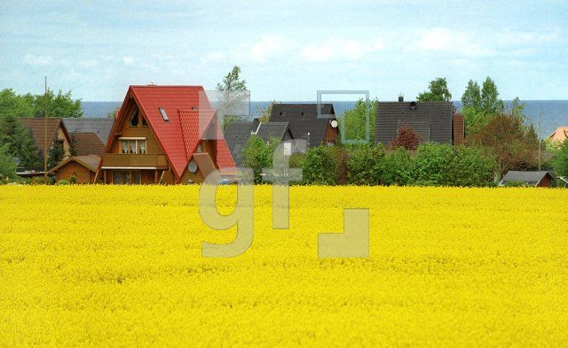 EG16_RapsOsthol_0166.jpg