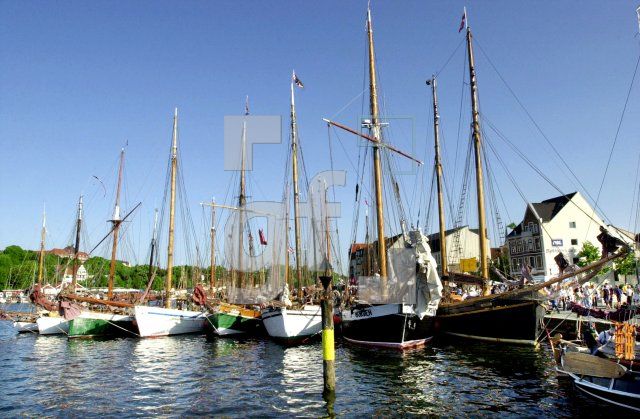 EG31_Rumregatta115_0132.jpg