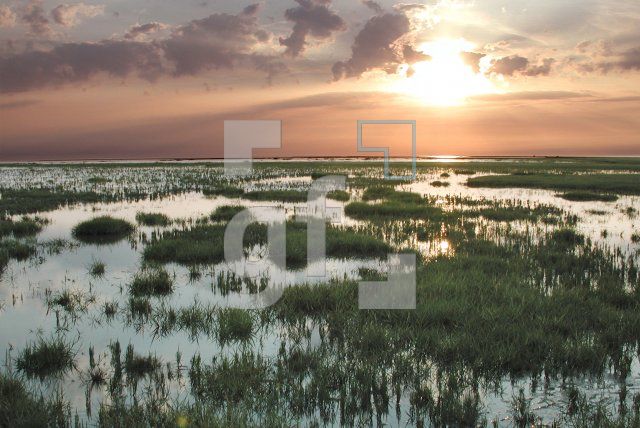 EI21_Wattenmeer06_0792.jpg