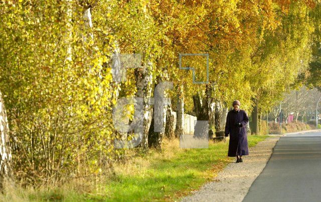 EL29_Herbst30Pinnberg_0121.jpg