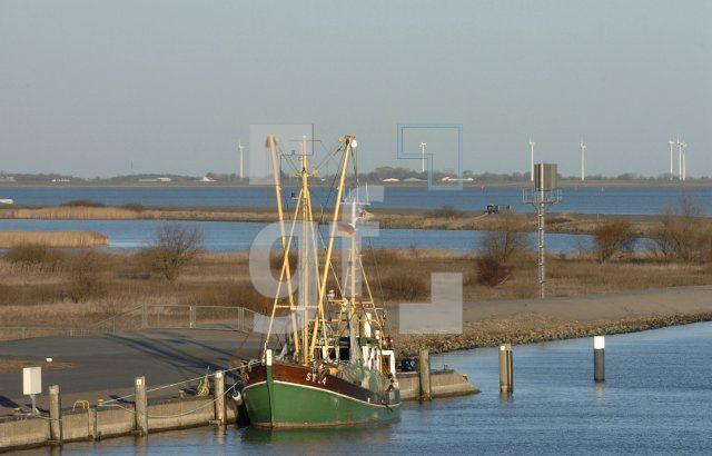 FA99_EiderFischer_0222.jpg