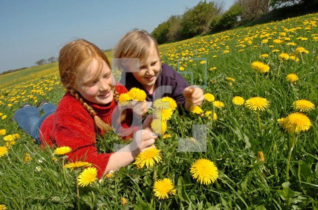FA99_KinderSommer_0234.jpg