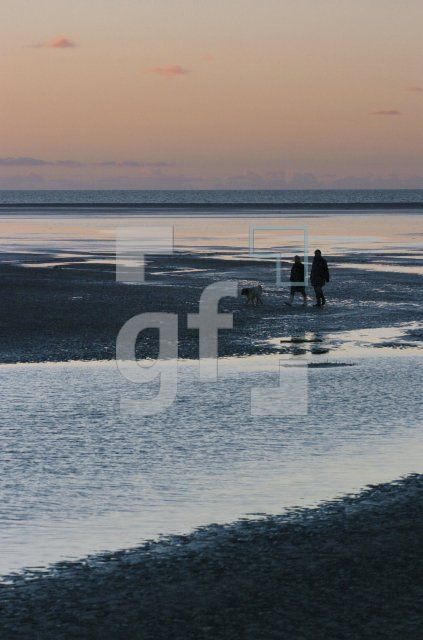 FA99_Wattenmeer1_0220.jpg
