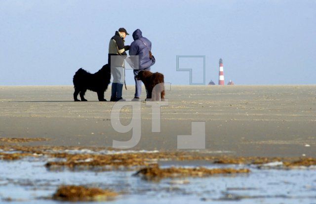 FD09_StPeterOrding23_0107.jpg