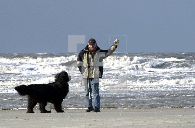 FD09_StPeterOrding24_0107.jpg