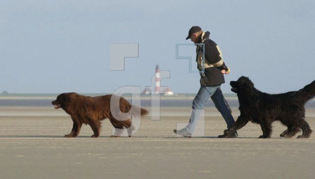 FD09_StPeterOrding25_0107.jpg
