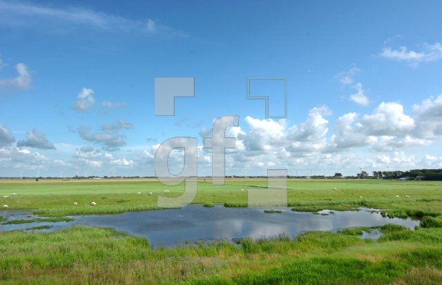 FI24_Nordfriesland04_0127.JPG