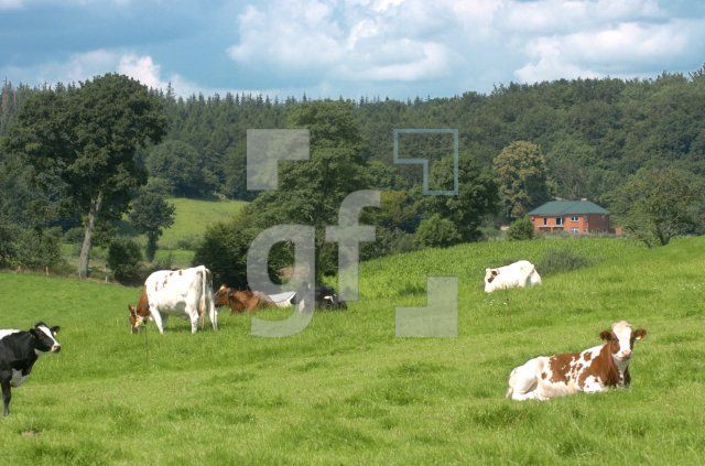 FJ01_LandschaftRDEck1_0121.jpg