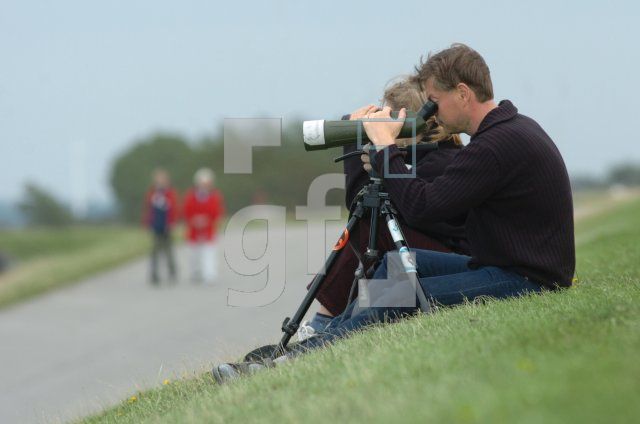 FJ29_Vogelbeobachtung_0156.JPG