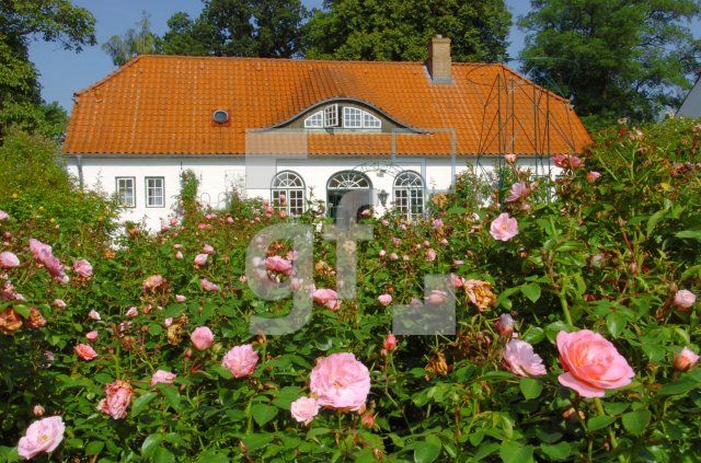 FK03_Rosarium2_0122.jpg