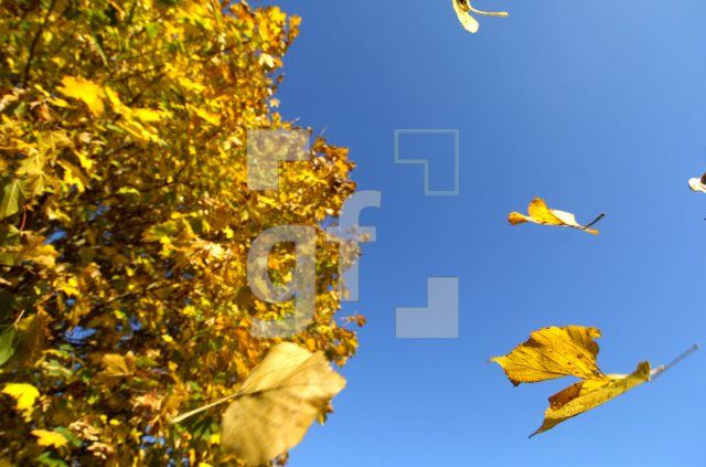 FL27_Herbst02_0129.jpg