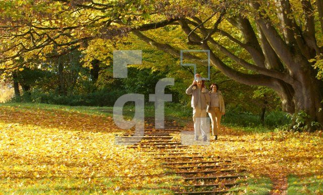 FL27_Herbst03_0130.jpg
