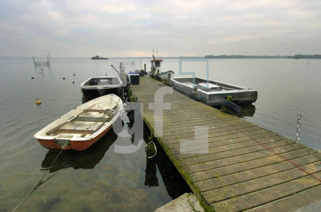 FM09_HolzbungeWittensee_0100.jpg