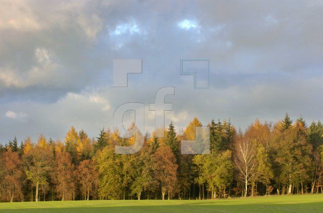 FM13_HerbstLauenburg1_0126.jpg