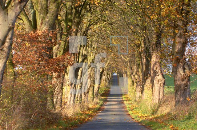 FM13_HerbstStor01_0100.jpg