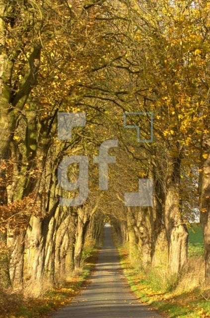 FM13_HorstKastanienallee_0111.jpg