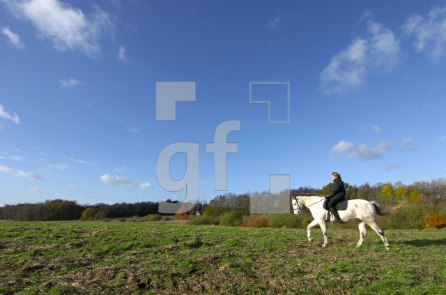 FM13_Reiten1_0188.jpg