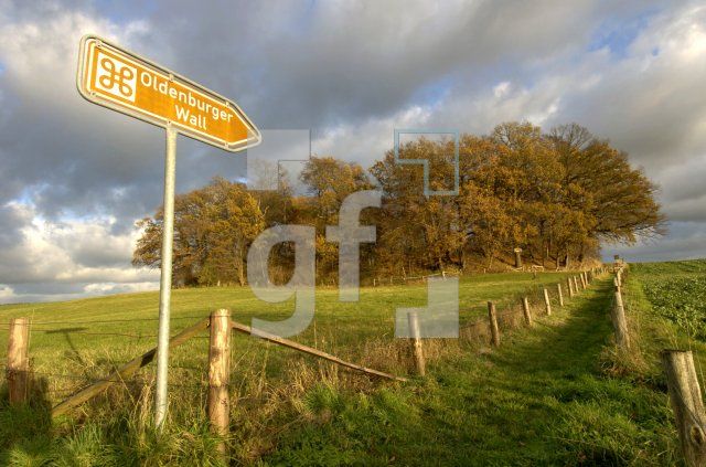 FM14_OldenburgerWall_0122.jpg