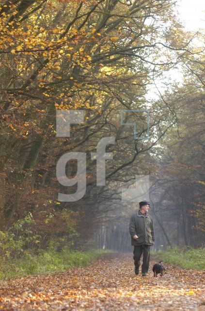 FM14_WaldHerbstLau_0166.jpg