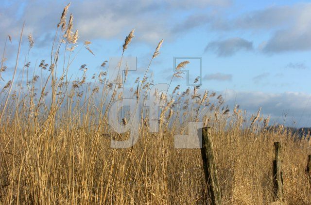 GC24_Schlei_0135.jpg