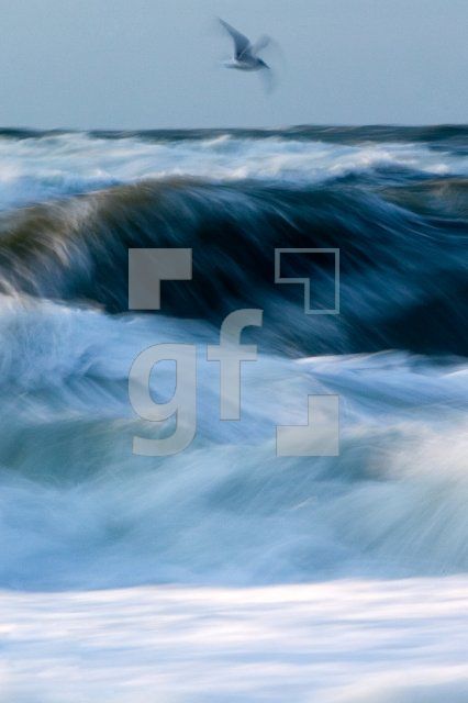 GD14_Sylt01_0457.jpg