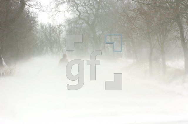 GD23_Schneesturm_0183.jpg