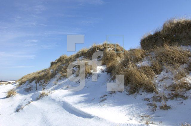 GE05_OrdingWinter30_0115.jpg