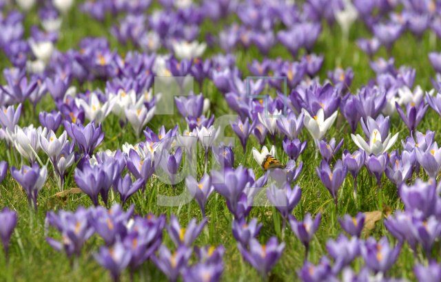 GE24_Fruehling01_0153.jpg
