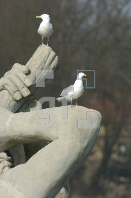 GE24_Globusgarten01_0174.jpg