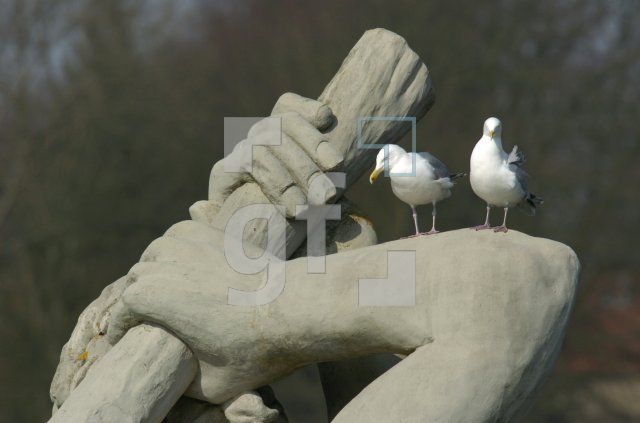 GE24_Globusgarten02_0149.jpg