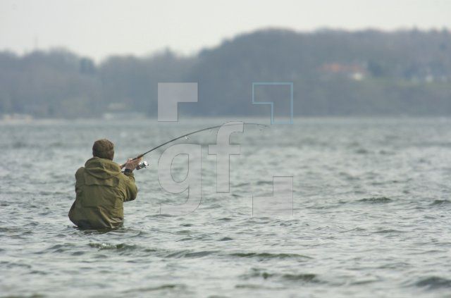 GF12_Angler_0121.jpg