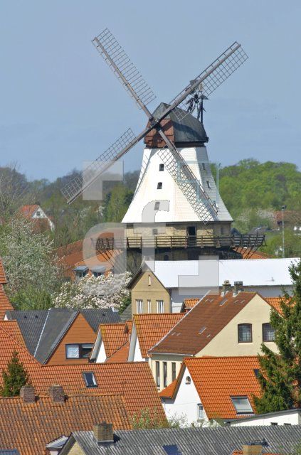 GG05_Kappeln02_0174.jpg