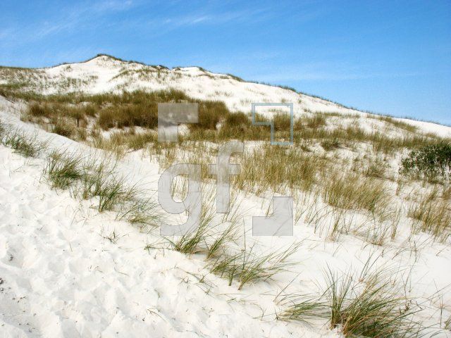 GI01_Amrum08_1327.jpg