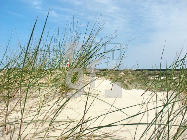 GI01_Amrum09_1327.jpg
