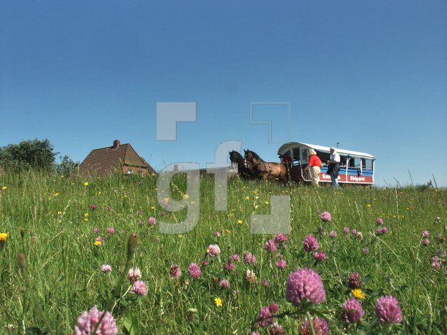 GI01_Hooge04_1313.jpg
