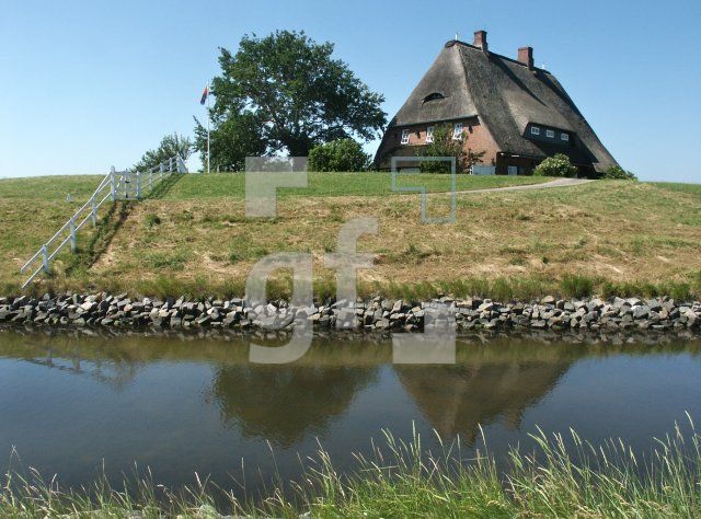 GI01_Hooge09_1313.jpg