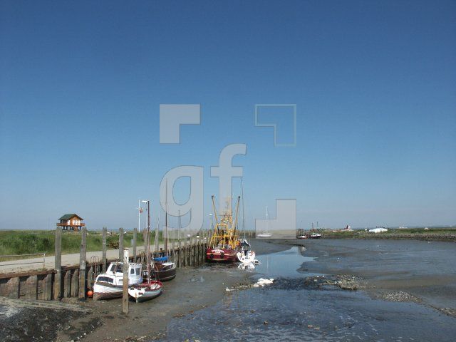 GI01_Hooge10_1313.jpg