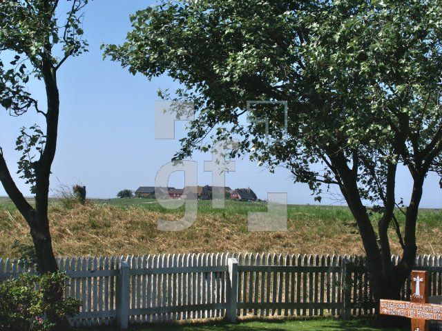 GI01_Hooge15_1313.jpg