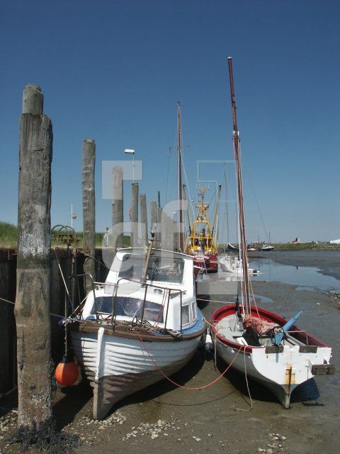 GI01_Hooge18_1313.jpg