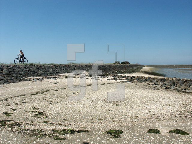 GI01_Hooge20_1313.jpg