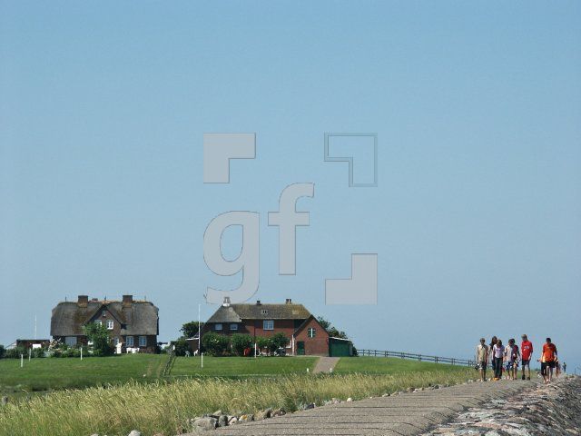 GI01_Hooge21_1313.jpg