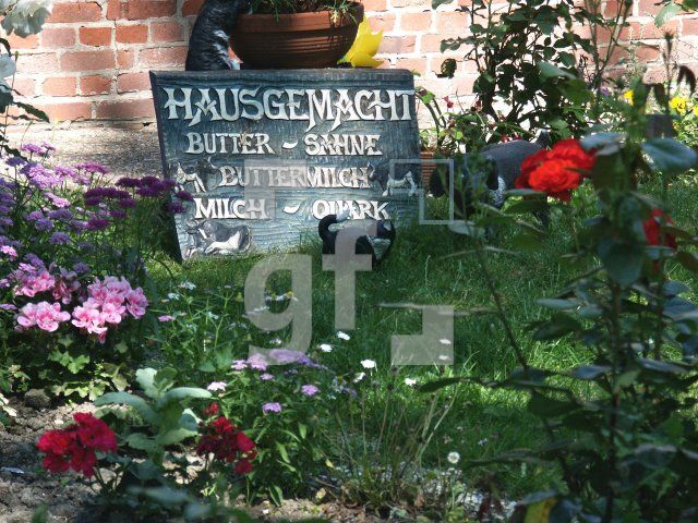 GI01_Hooge39_1313.jpg