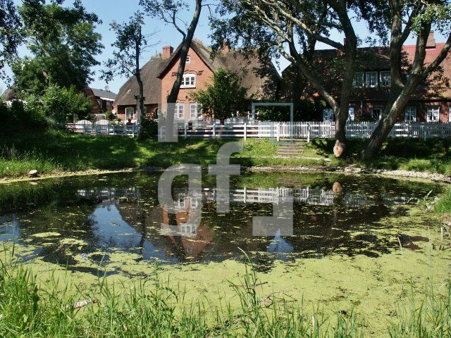 GI01_Hooge40_1313.jpg