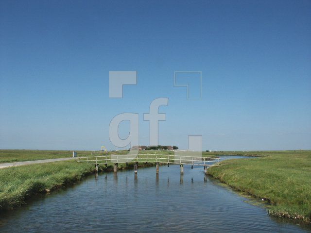 GI01_Hooge44_1313.jpg